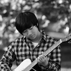 伴奏昙花一现的封面