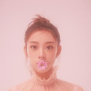 伴奏这一生只为你 (梦想的声音第一季) (精消带和声)的封面
