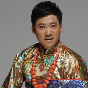 伴奏美丽西藏 (精消无和声纯伴奏)的封面