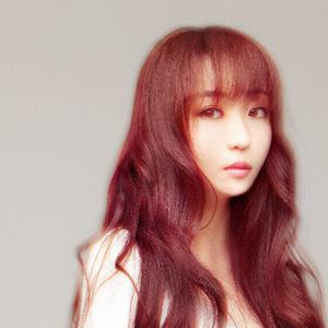 伴奏看穿的封面