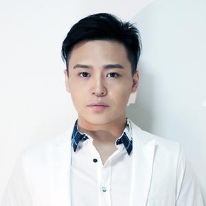 伴奏我不会再爱上谁的封面