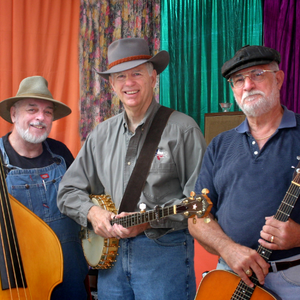 伴奏Greenback Dollar的封面