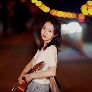 伴奏凤凰花开的路口的封面