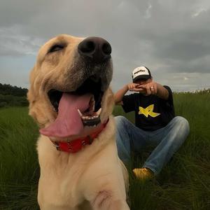 歌手我爱你中国的图片