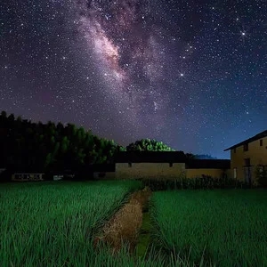 歌手万年的图片