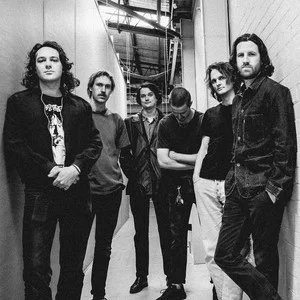 歌手King Gizzard & The Lizard Wizard的图片