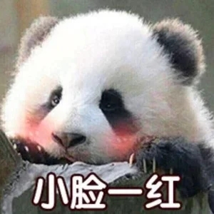歌手就是奇迹鸭的图片