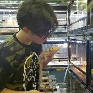 伴奏衣紧还湘 (精消带和声)的封面
