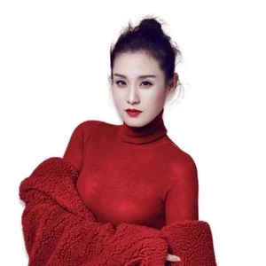 歌手王婉霏vivi的图片
