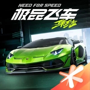 歌手极品飞车：集结的图片