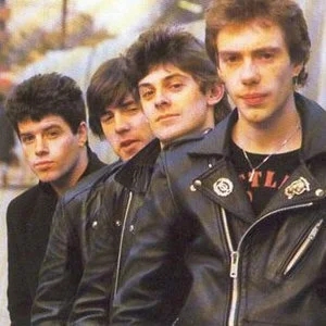 歌手Stiff Little Fingers的图片