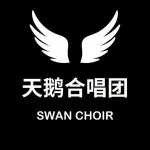 歌手天鹅合唱团的图片