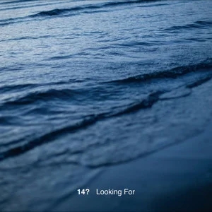 歌手14？的图片