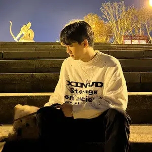 歌手不知名选手Au的图片