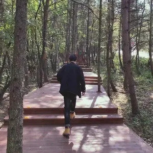 歌手阿书Veson的图片