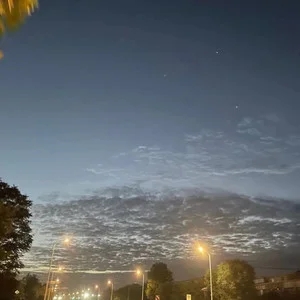 歌手XZ79的图片