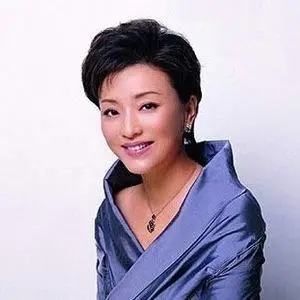 歌手杨澜的图片
