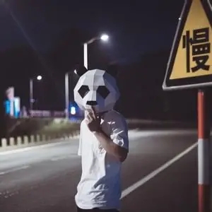 伴奏有幸的封面