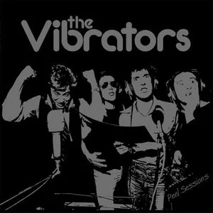 歌手The Vibrators的图片