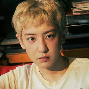 歌手CHANYEOL的图片