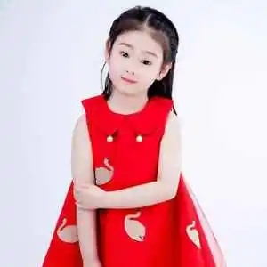 伴奏眼里的光的封面