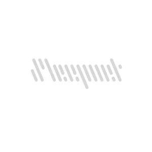 歌手Sleepnet的图片