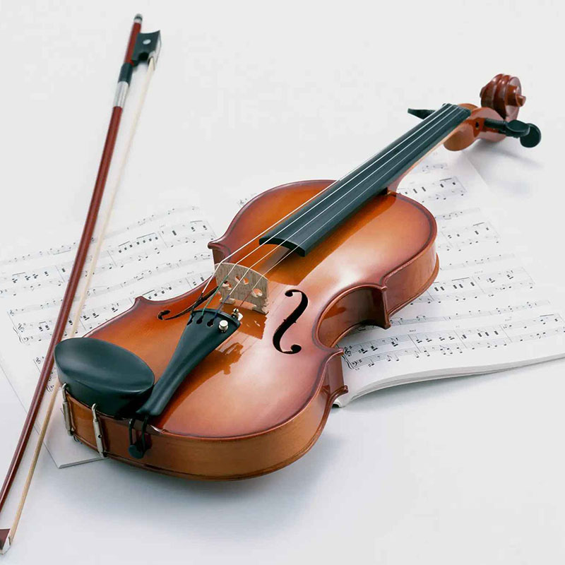 歌手小提琴的图片