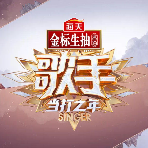 歌手当打之年logo图片