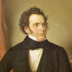 歌手Franz Schubert的图片