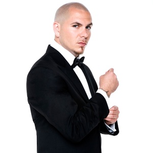 歌手Pitbull的图片