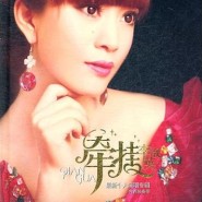 伴奏落雁·昭君的封面
