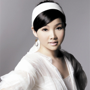 歌手王莉的图片