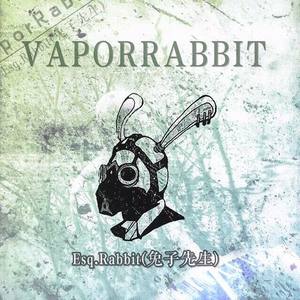 歌手VaporRabbit（蒸汽兔子）的图片