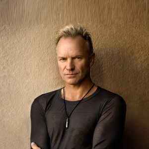 歌手Sting的图片